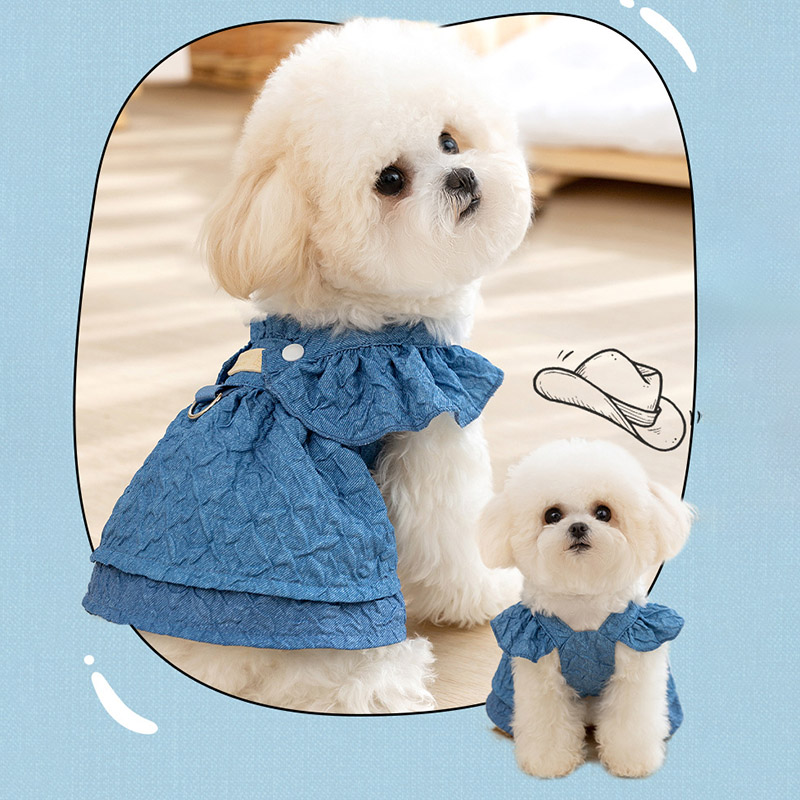 2025, Hoopreety-Welpen-Hundekl – Summer Clothing List Bewertung und Preis