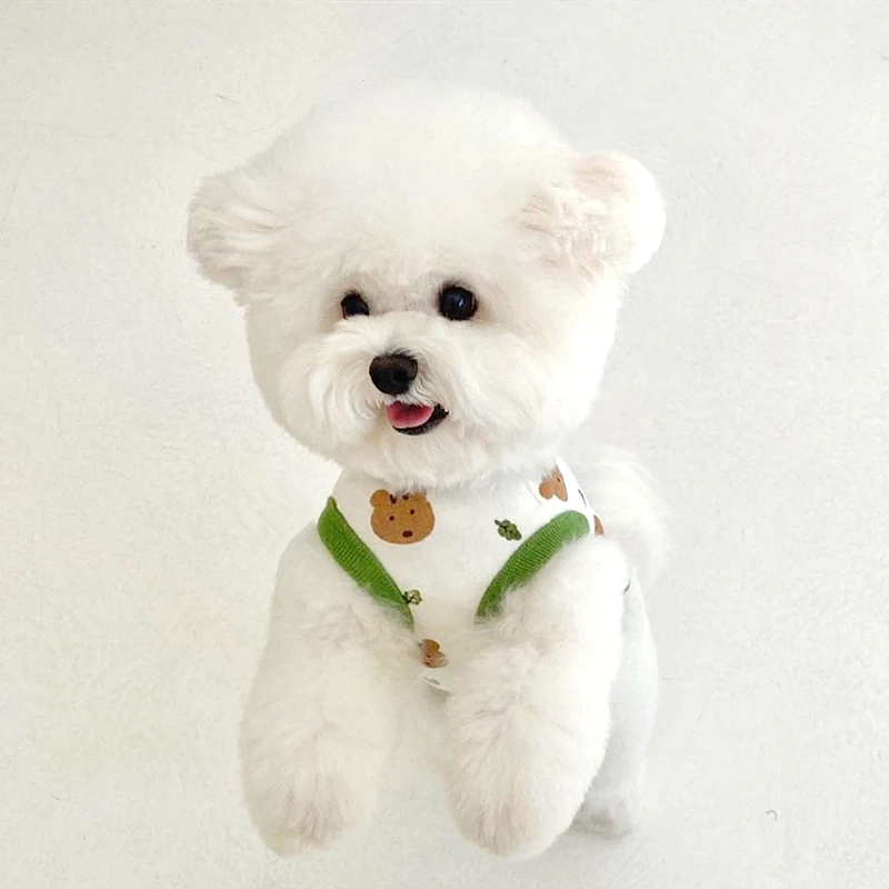 Haustier Hund Kleidung Welpen  – Summer Jumper Clothing Bewertung und Preis
